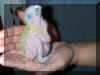 Image002.jpg (107954 bytes)
